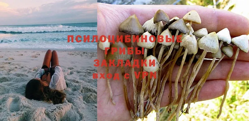 Галлюциногенные грибы Magic Shrooms  Алагир 