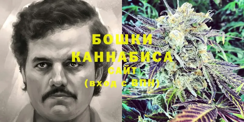 Марихуана Ganja  Алагир 